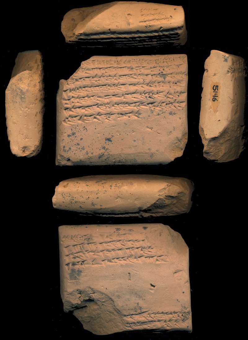 732594