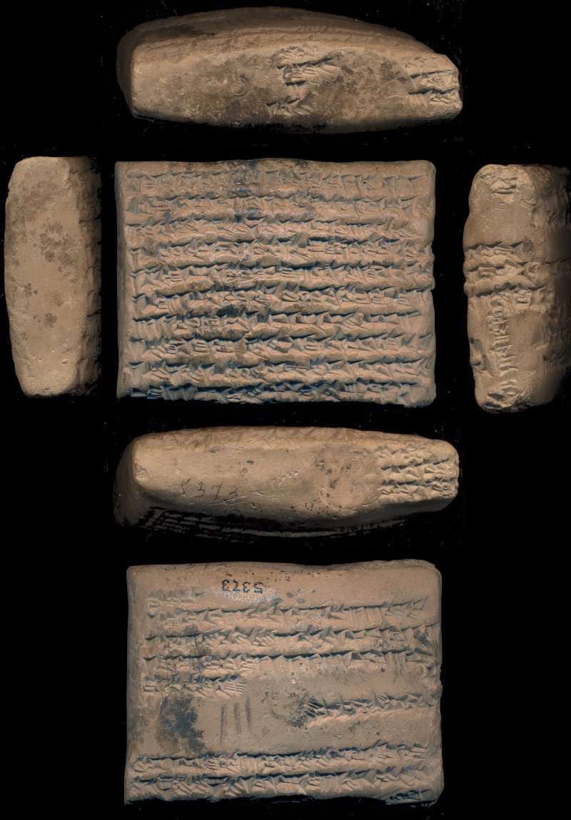 732805