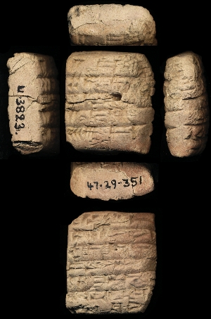 47-29-351