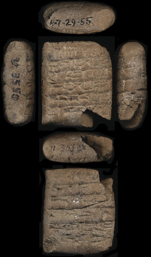 47-29-55
