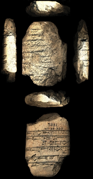 47-29-205