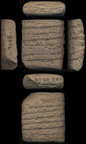 47-29-209