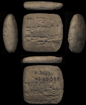 47-29-389