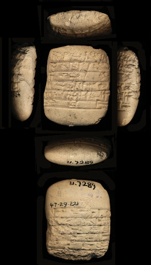 47-29-221