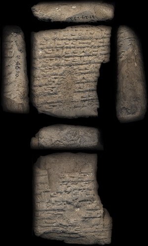 47-29-233