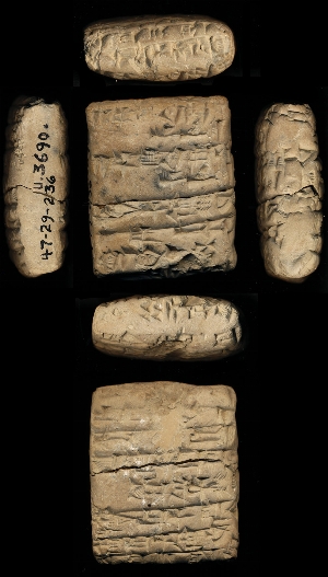 47-29-236