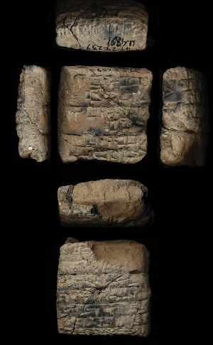 47-29-239