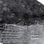 736985