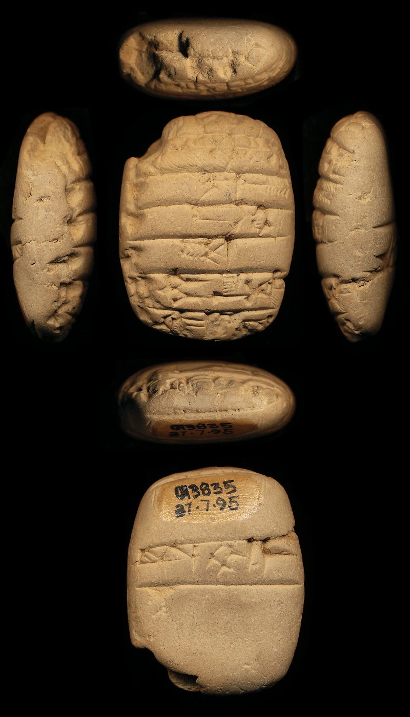 737017
