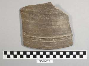 35-8-313