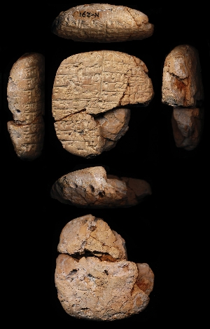 N291