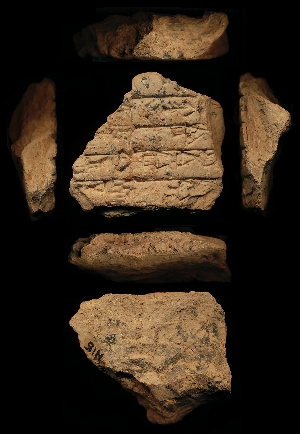 N15