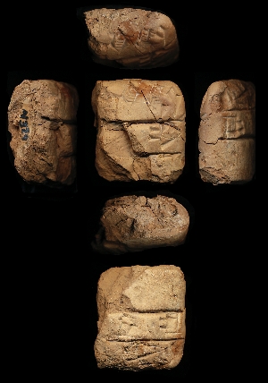 N329