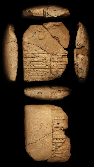 N268