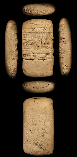 N534