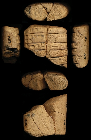 N2