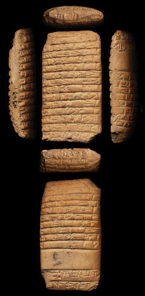 N548