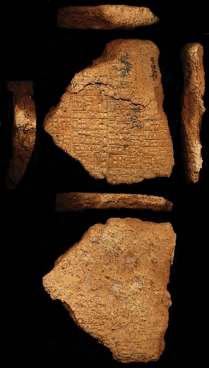 N562