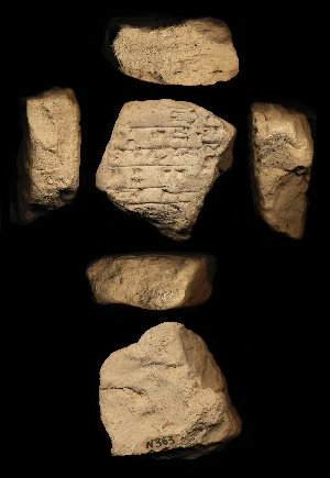 N363