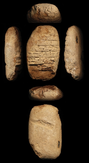 N521
