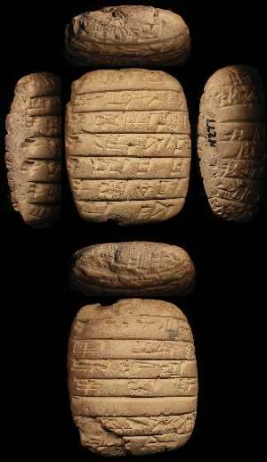 N277