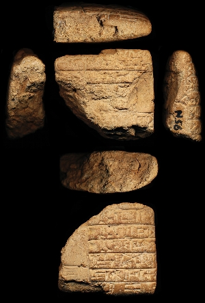 N56