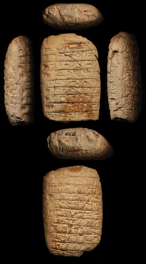 N526