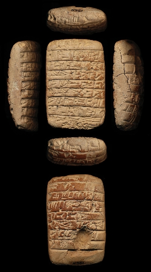 N551