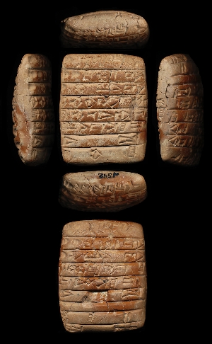 N542