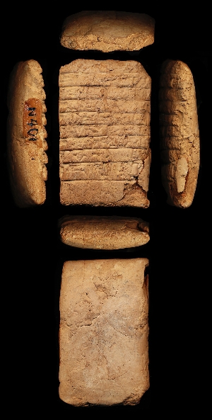 N401