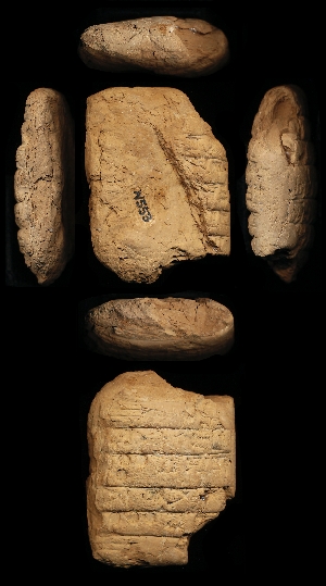 N553