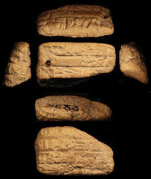 N583