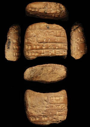 N584