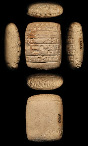 N405
