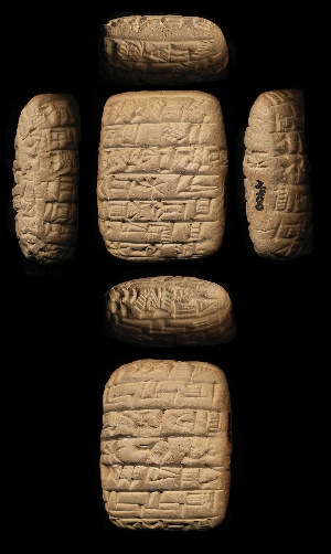 N400