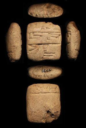 N399
