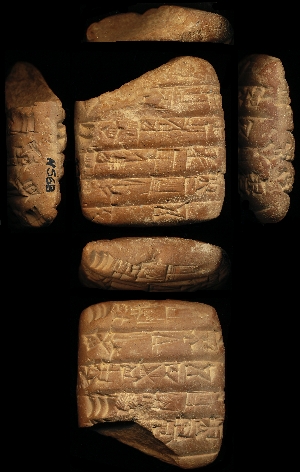 N568