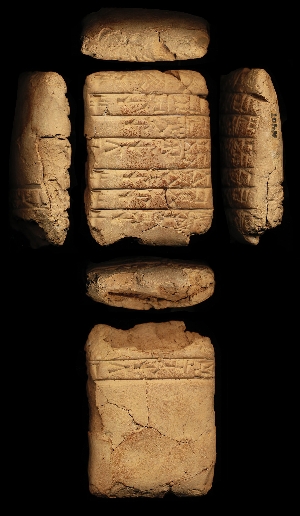 N407