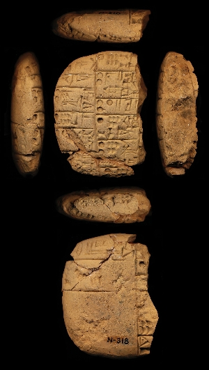 N318