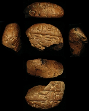 N607