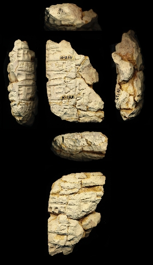 N189