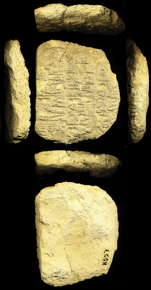 N557