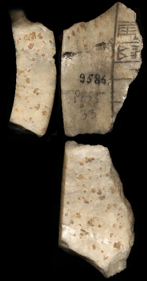 CBS9586