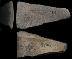 CBS9618