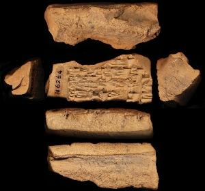 N6264