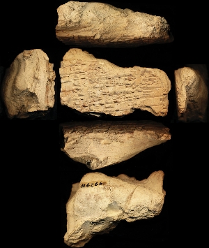 N6266
