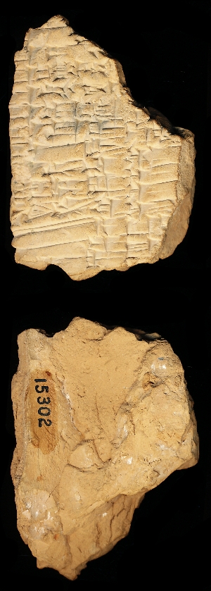 CBS15302