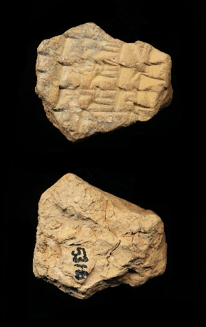 CBS15316