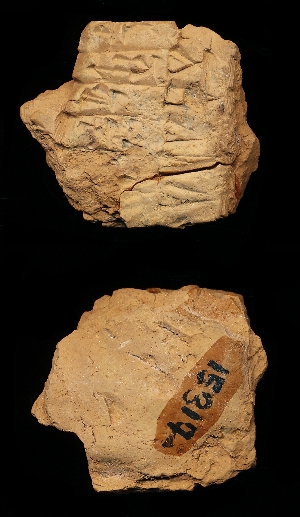 CBS15317