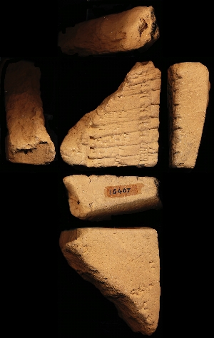 CBS15407